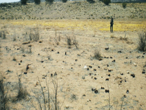 Alleged UFO crash site in New Mexico.